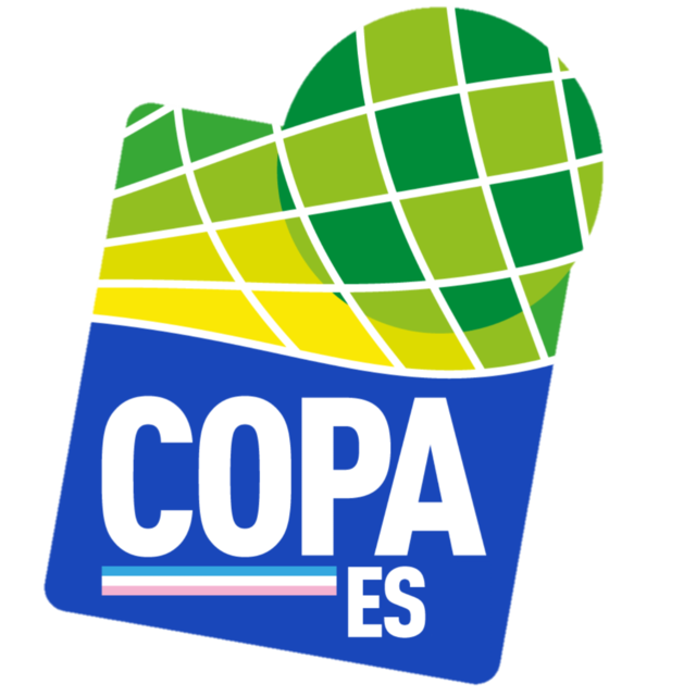 Brazil Copa Espírito Santo