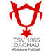 Dachau football club logo and badge