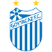 Goytacaz football club logo and badge