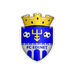 Edineţ logo