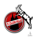 Feulen football club logo and badge