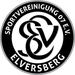 Elversberg football club logo and badge