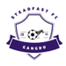 Steadfast logo