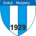 Sokol Nespeky football club logo and badge