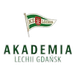 Akademia Piłkarska LG football club logo and badge