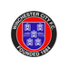 Winchester City Flyers football club logo and badge