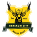 Berekum City logo