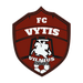 Vilniaus Vytis logo