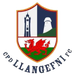 Llangefni Town football club logo and badge
