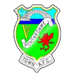 Pontardawe Town football club logo and badge