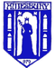 Amesbury Town football club logo and badge