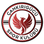 Cankirigucu football club logo and badge